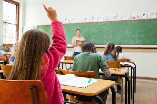 Education / Institute